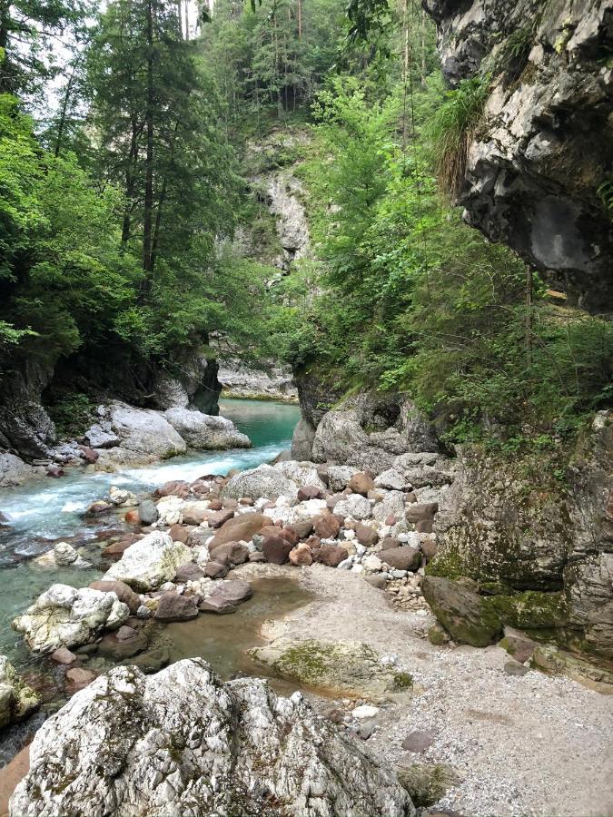Greenwood Holiday Тарвизио Екстериор снимка